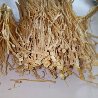 優質金針菇干貨 無硫農產品在酒店、提煉廠與畜牧漁業的多領域應用