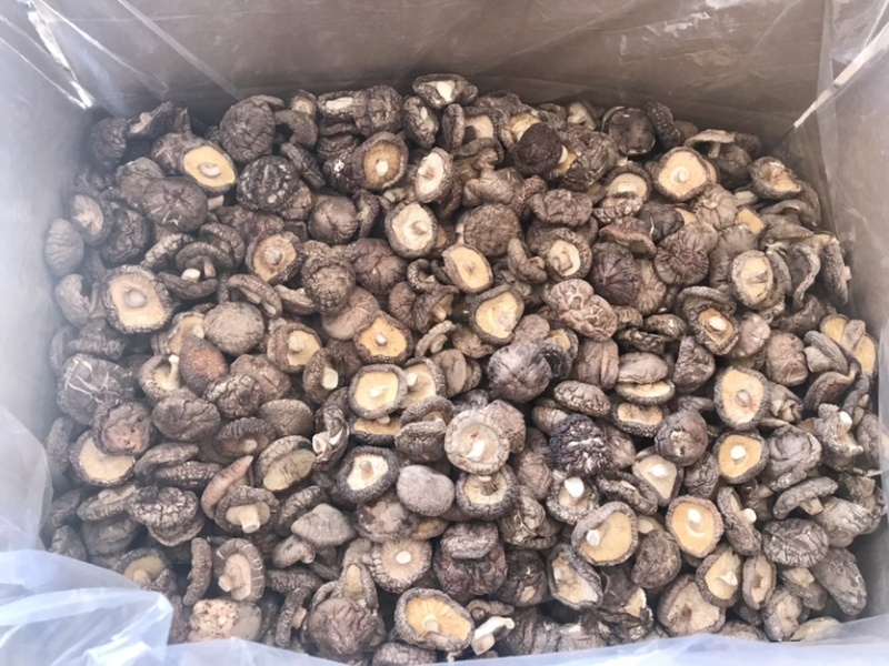 河南泌陽(yáng)干香菇批發(fā)市場(chǎng)探析 品質(zhì)與價(jià)格的平衡點(diǎn)